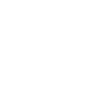 level icon