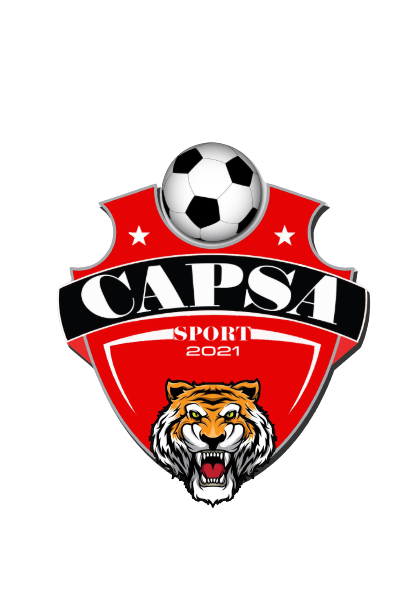 CAPSA ESPORT logo